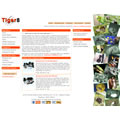 tiger8